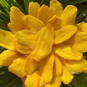 Xoài Sấy Dẻo VitaFruit - Snack Ngon, Lành Mạnh, Giàu Vitamin C