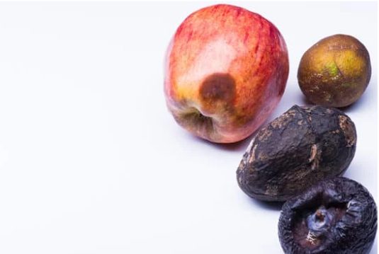 trái cây sấy khô