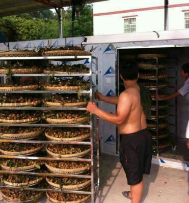 vải thiều sấy khô