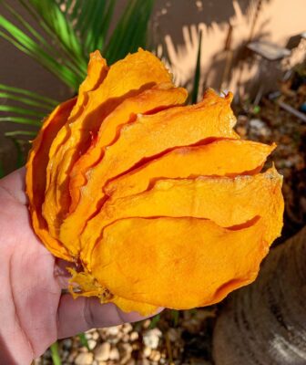 Xoài sấy dẻo Vitafruit